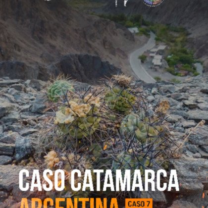 Caso Catamarca Argentina. Caso 7