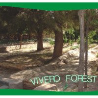 vivero forestal.pdf