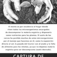 CAPTURA DE MICROORGANISMOS.pdf